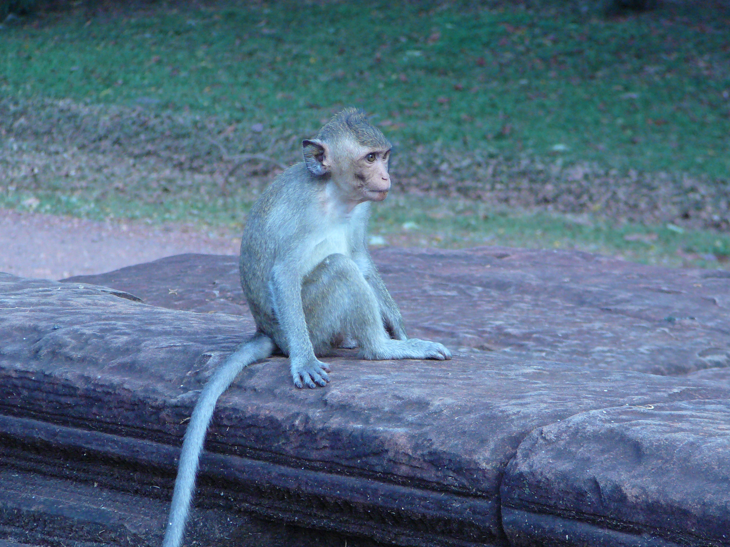 Angkor Wat